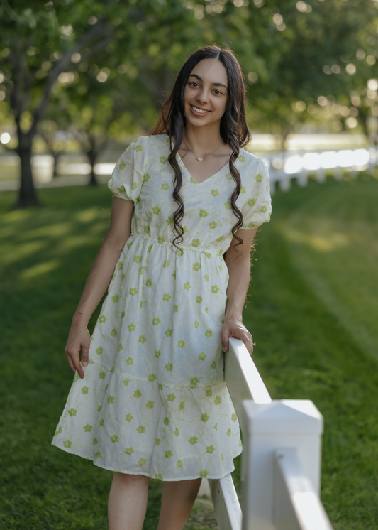 Limemade Midi Dress.